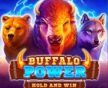 Buffalo Power